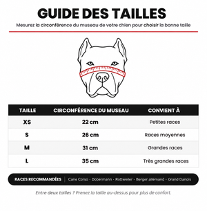 Chat qui joue
