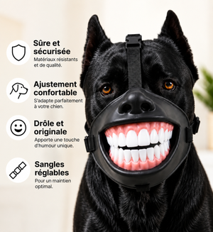 Chien qui joue